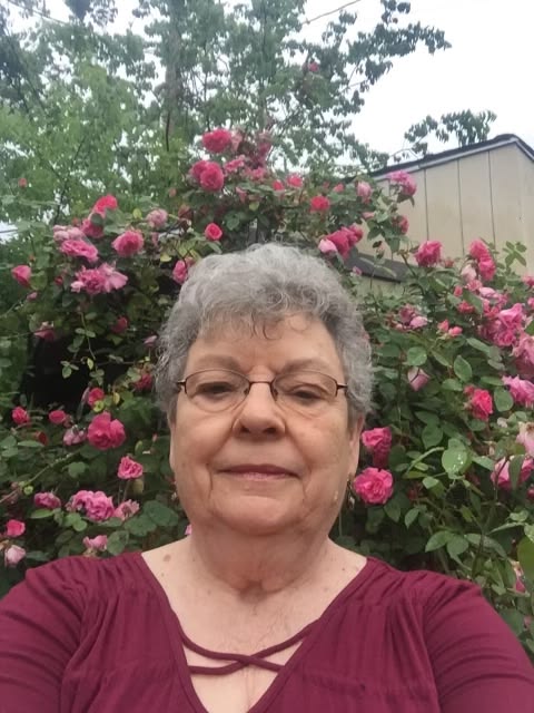 files/04aec00f7d65344955d3774cfbc127a8.jpg